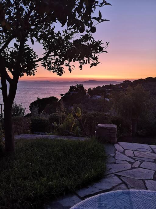 Seaside House With View Over Pagasitikos Afissos Exterior photo